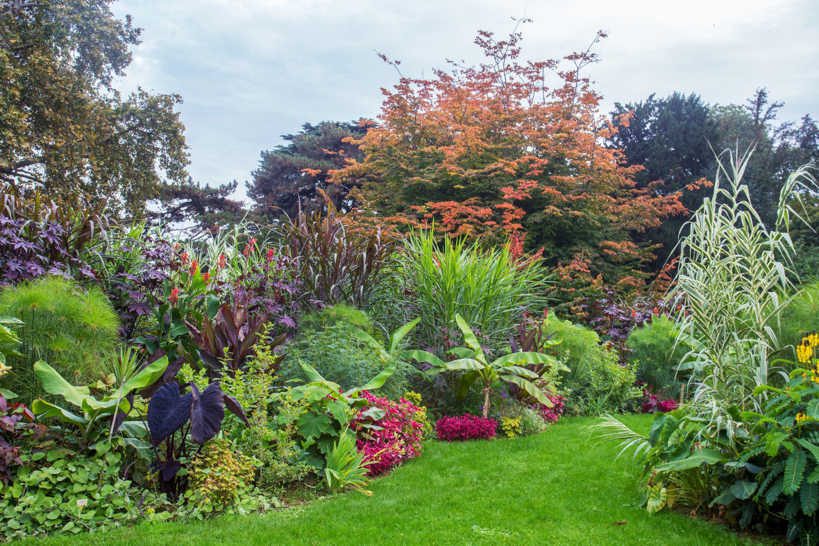 Extra hoge vaste planten | Bloemenpark Appeltern - Planten Die Tegen Wind Kunnen