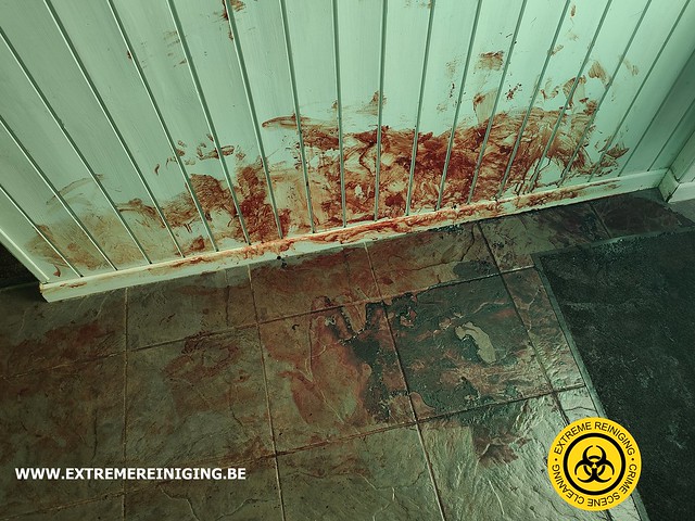 Extreme Reiniging | Flickr - Hoe Ziet Een Lijk Eruit Na 5 Jaar