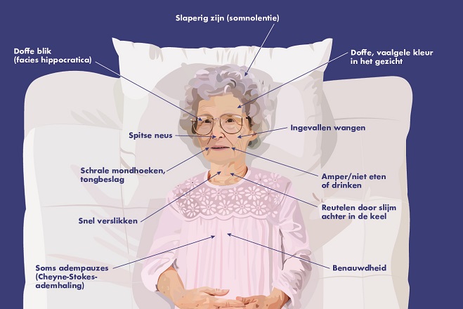 Hoeveel Mensen Overlijden Per Jaar Aan Griep
