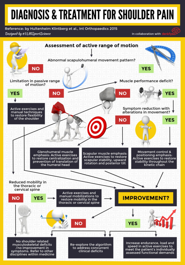 Fact Sheets - SchouderNetwerken Nederland - Kngf Evidence Statement Subacromiale Klachten