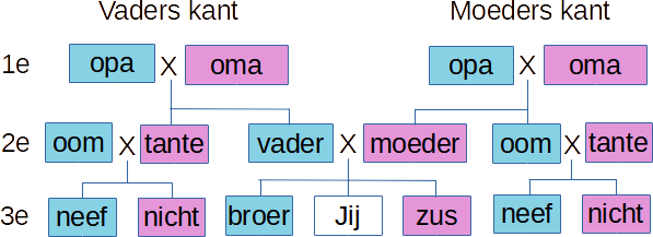 Familie (mens) - Wikikids - Wat Is 2e Graads Familie