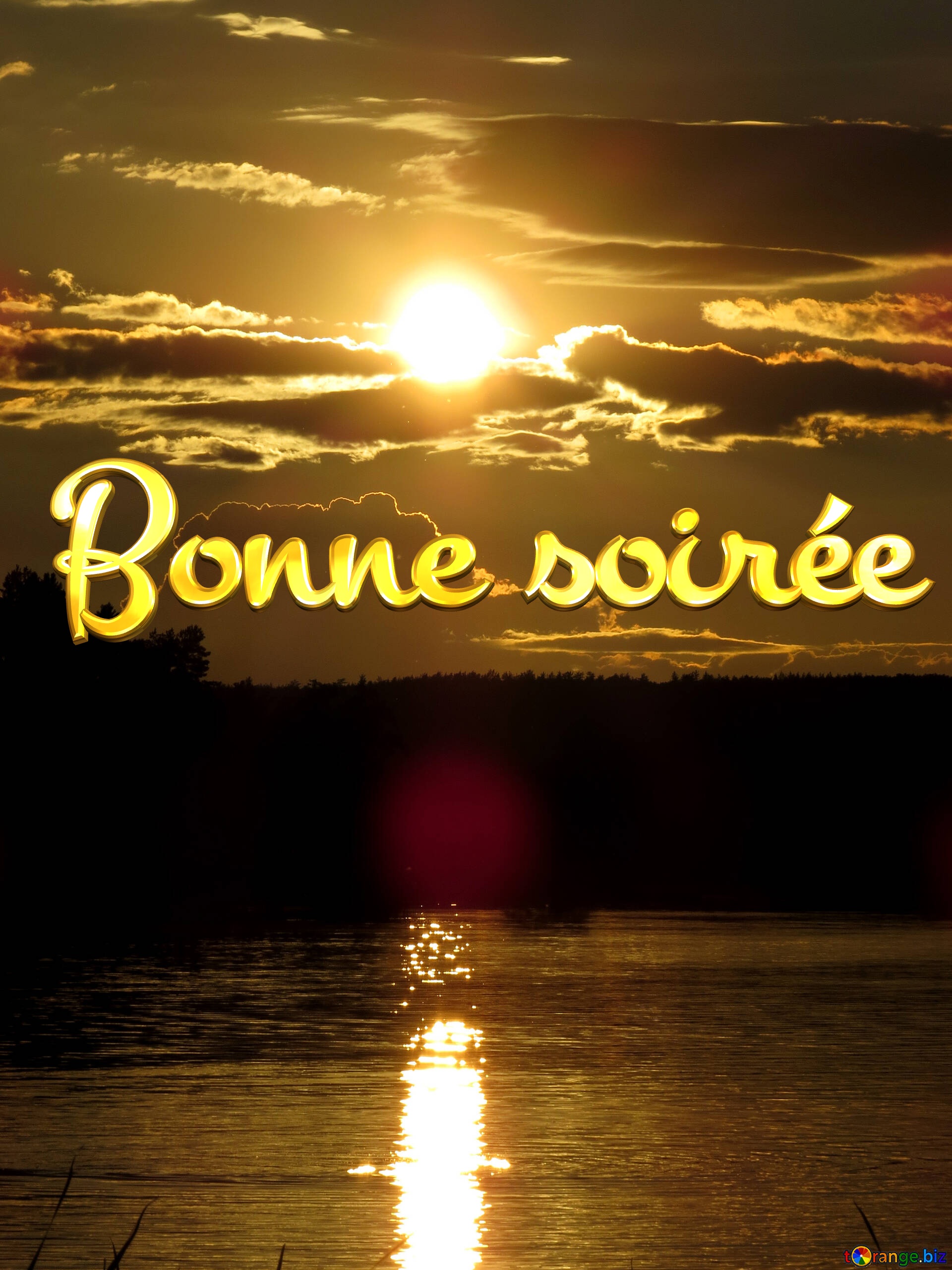 Farm'Insolite| Page 2076 | Farmerama FR - Bonne Annee Et Joyeux Noel