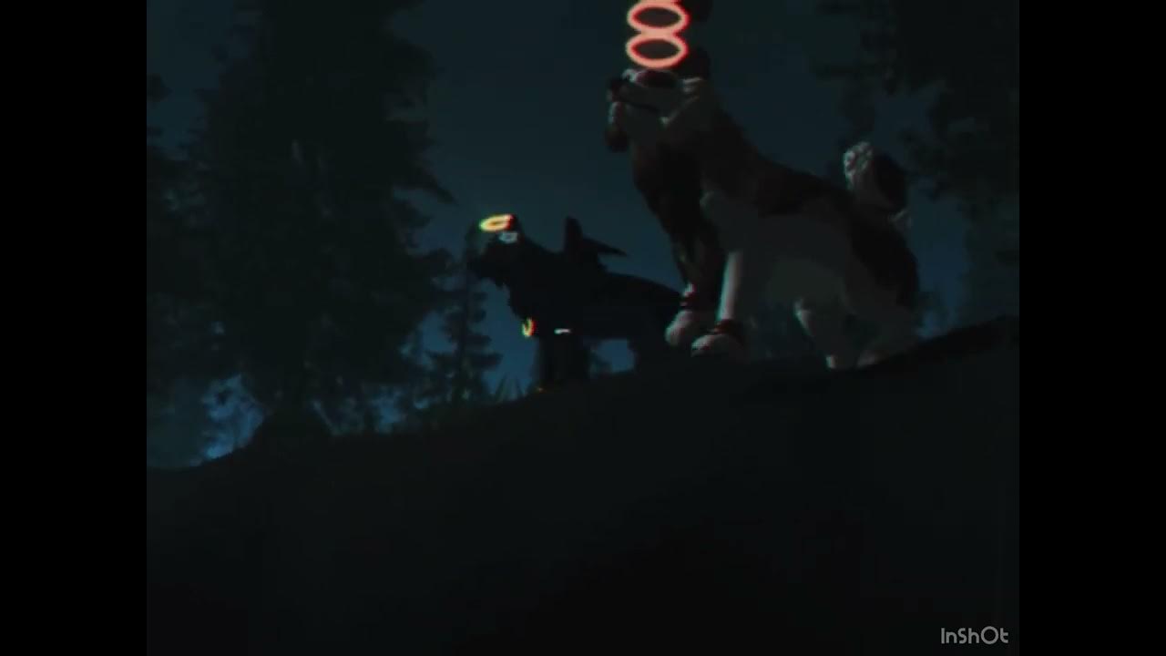 .+FAST AND FURIOUS+. FIRST TIME DOING A FILM CREW IN A WOLFS PACK :D - Actors From Fast And Furious 7