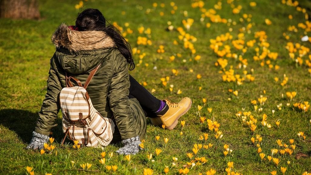 Februari negende maand op rij met mondiaal warmterecord : r/dutch - Wat Is De Negende Maand