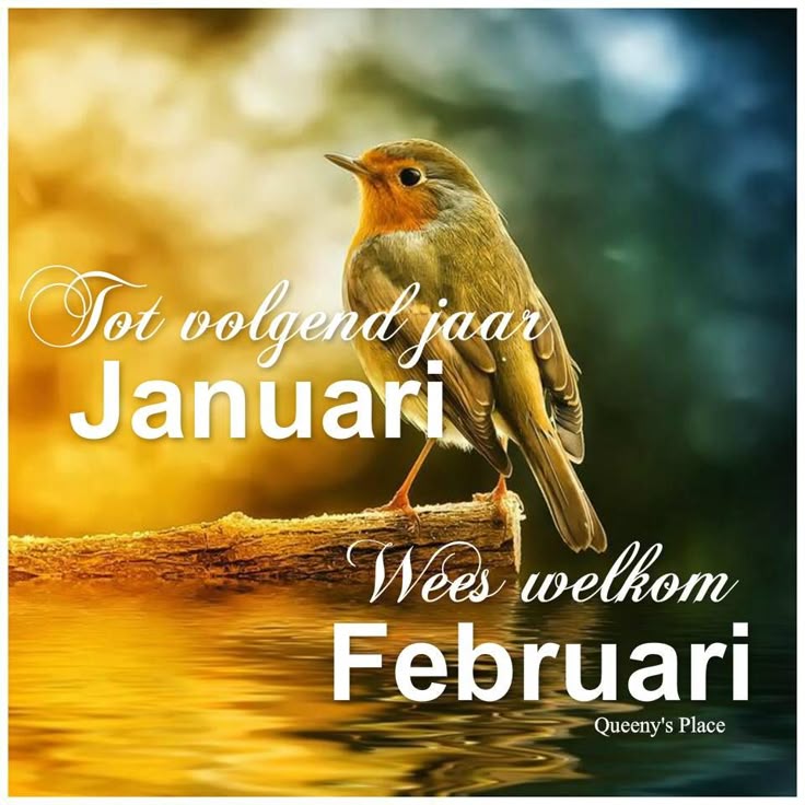 Hoeveel Dagen Zitten Er In Februari