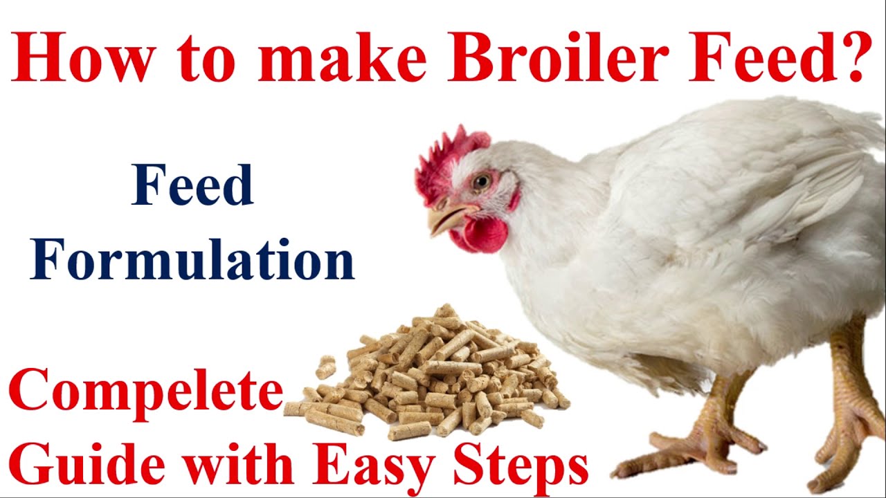 Feed formulation for poultry - YouTube - Formulation Of A Research Question