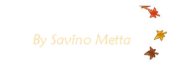 Is De Danse Macabre Voor Efteling Geschreven