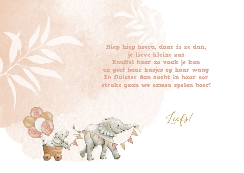 Felicitatiekaart geboorte voor zusje met lieve | Kaartje2go - Mijn Wens Voor Jou Baby