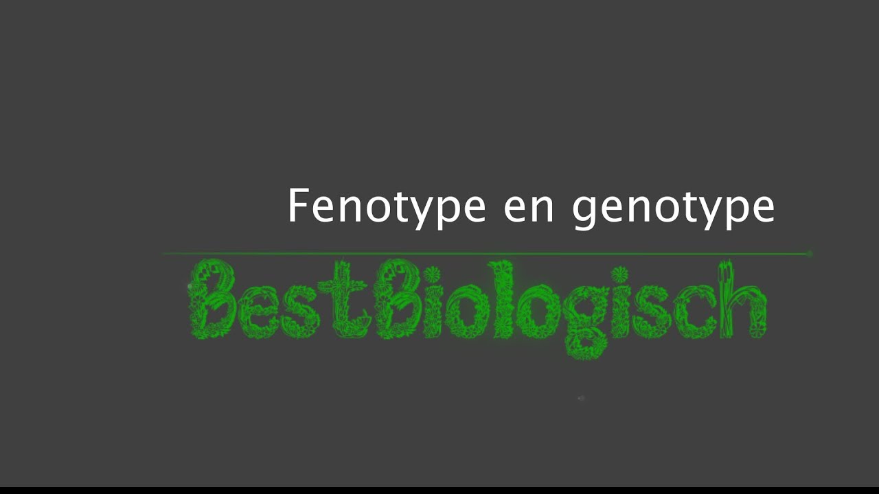 Fenotype en Genotype - YouTube - Wat Is Het Fenotype Van Een Organisme