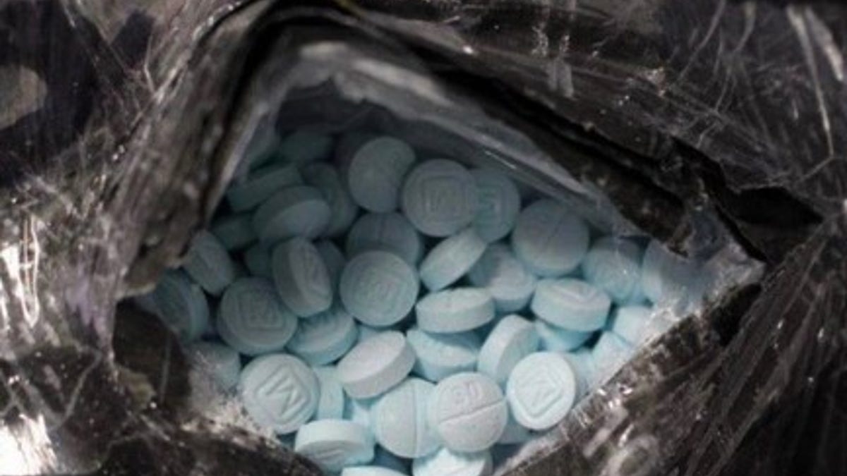 Fentanyl drug busts increase 200% in parts of Florida | Fox News - Hoe Snel Werkt Fentanyl Pleister