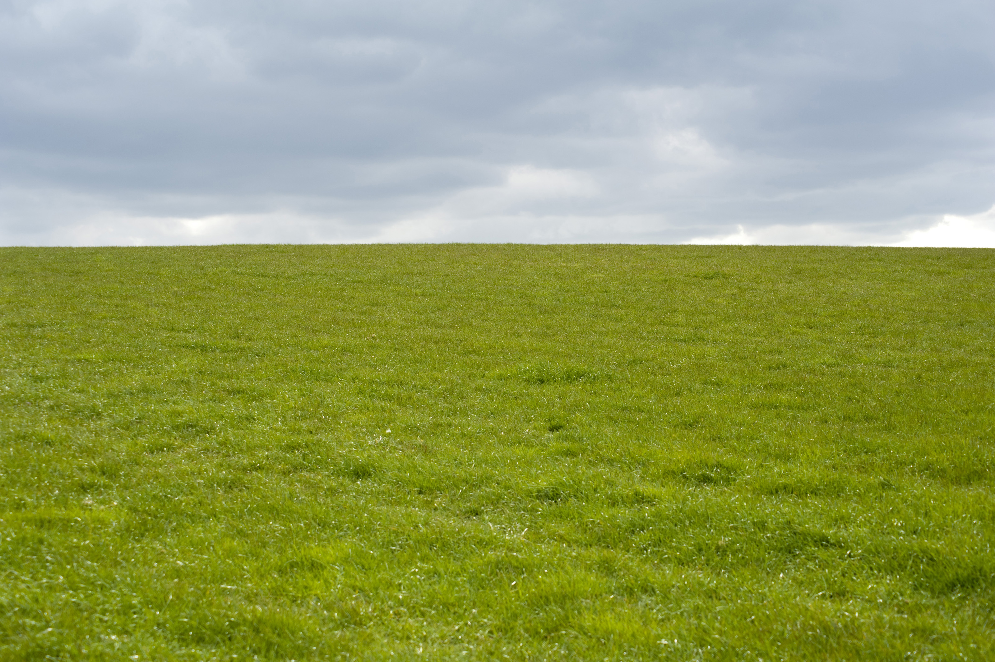 field - définition - What is - Field Discovering Statistics Using R
