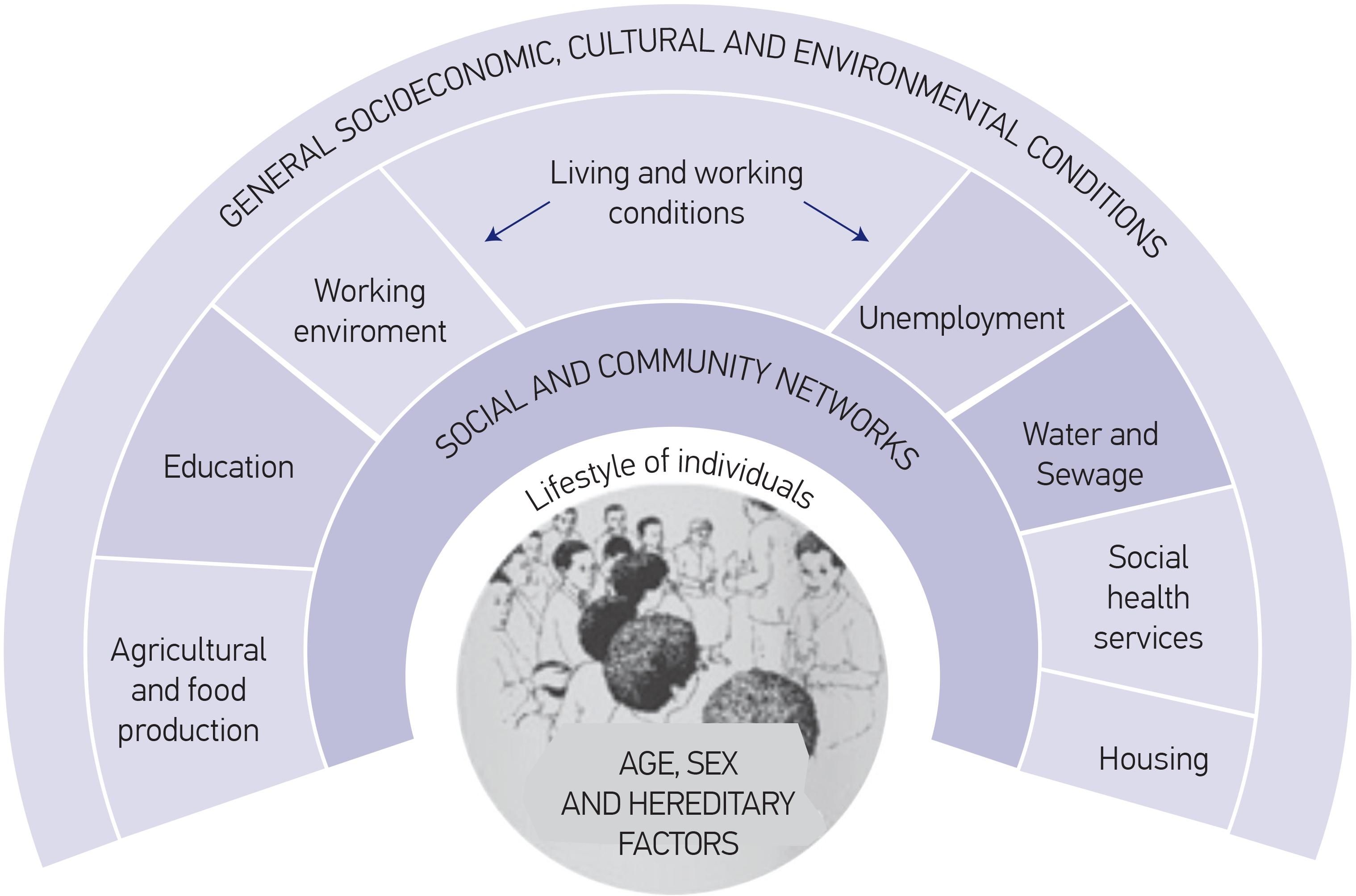 Figure 1 Social Determinants of Health: Dahlgren and Whitehead model - Model Van Dahlgren En Whitehead