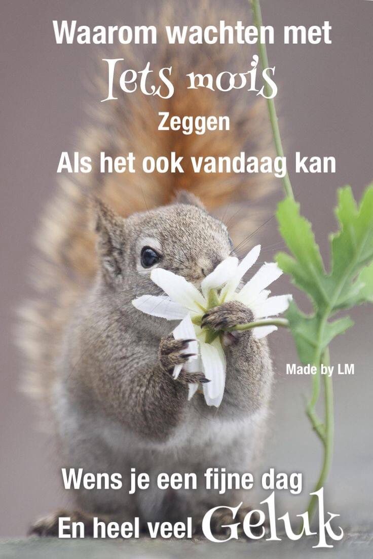 Fijne dag Evening Quotes, Night Quotes, Good Morning Quotes, Good - Een Goede Dag Voor De Ezel Samenvatting