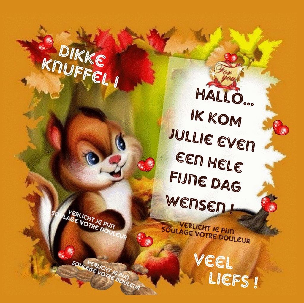 Fijne dag Good Night, Good Morning, Betty Boop, Teddy Bear, Novelty - Goedemorgen En Een Fijne Dag