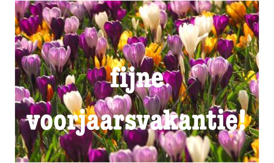 Fijne voorjaarsvakantie! | Crocus bulbs, Planting bulbs, Crocus - Hoe Lang Duurt De Voorjaarsvakantie