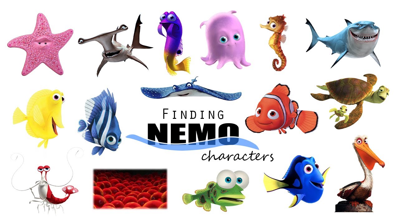 Finding Nemo / Nemo Characters Real Life Animals / Leo & Lia Kids TV - How Old Is Nemo In Finding Nemo
