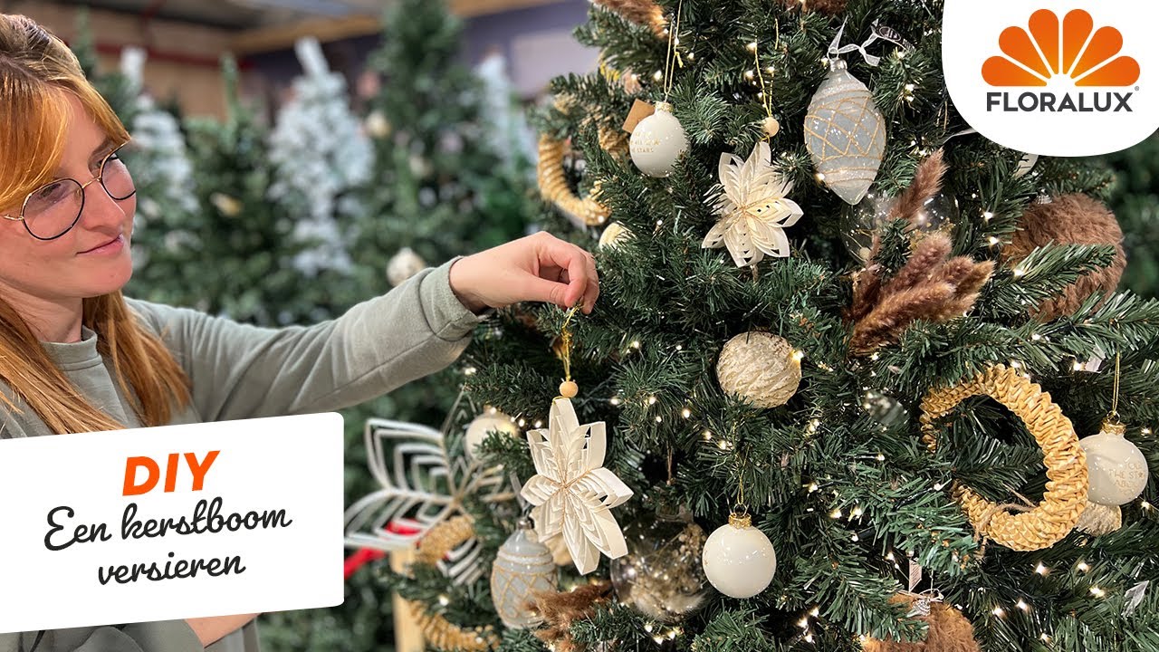 Wat Voor Boom Is Een Kerstboom