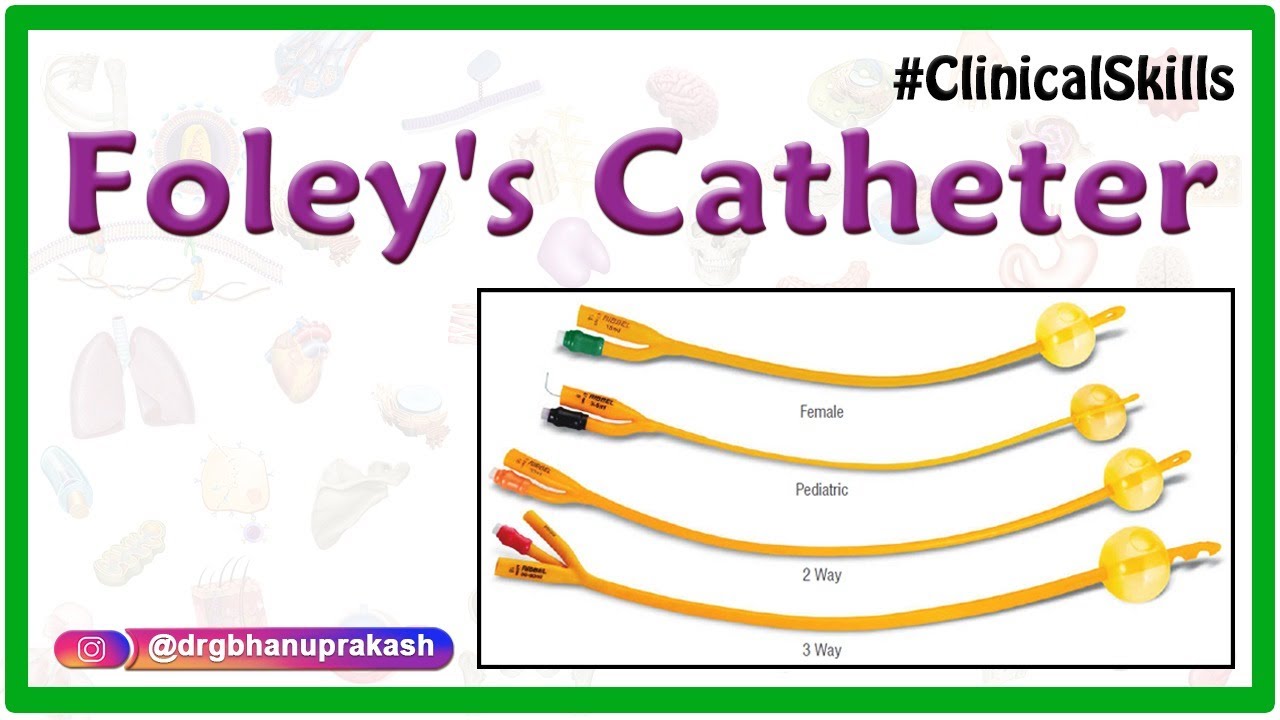 Foley's catheter : Parts, Technique and indications : Clinical skills - Wat Is Een Couvelaire Catheter