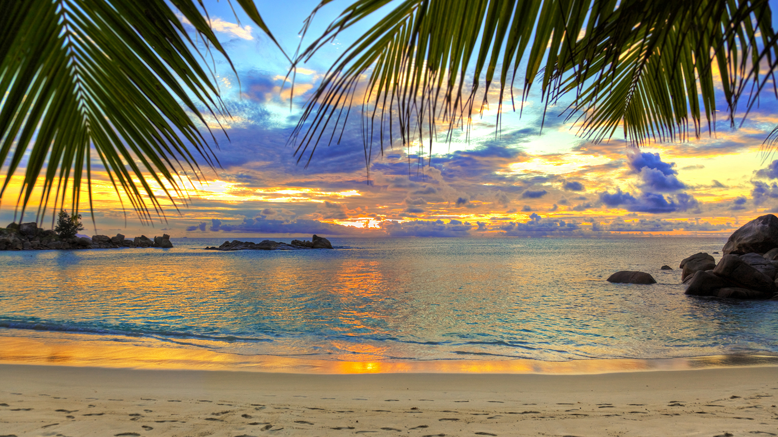 Foto Strand Meer Natur Palmen 2560x1440 - Meer Van De Ry De Rome