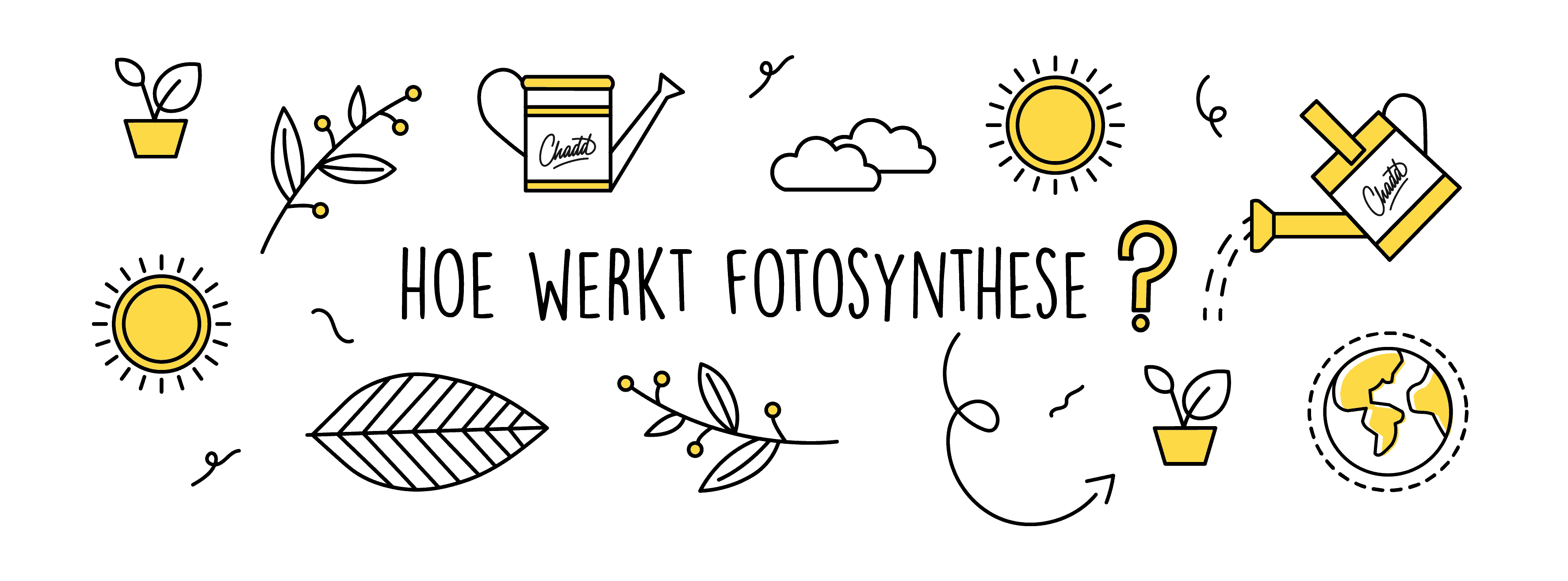 Fotosynthese: waarom is dit zo belangrijk? - Mr. Chadd Academy - Waarom Is Fotosynthese Belangrijk Voor Mensen