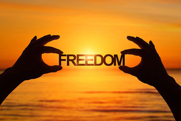 Freedom to insist on accountability and good governance is a means to - Freedom Writers Waar Te Zien