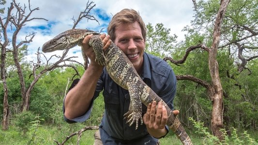Freek In Het Wild (2013) — The Movie Database (TMDB) - Freek In Het Wild Zapp
