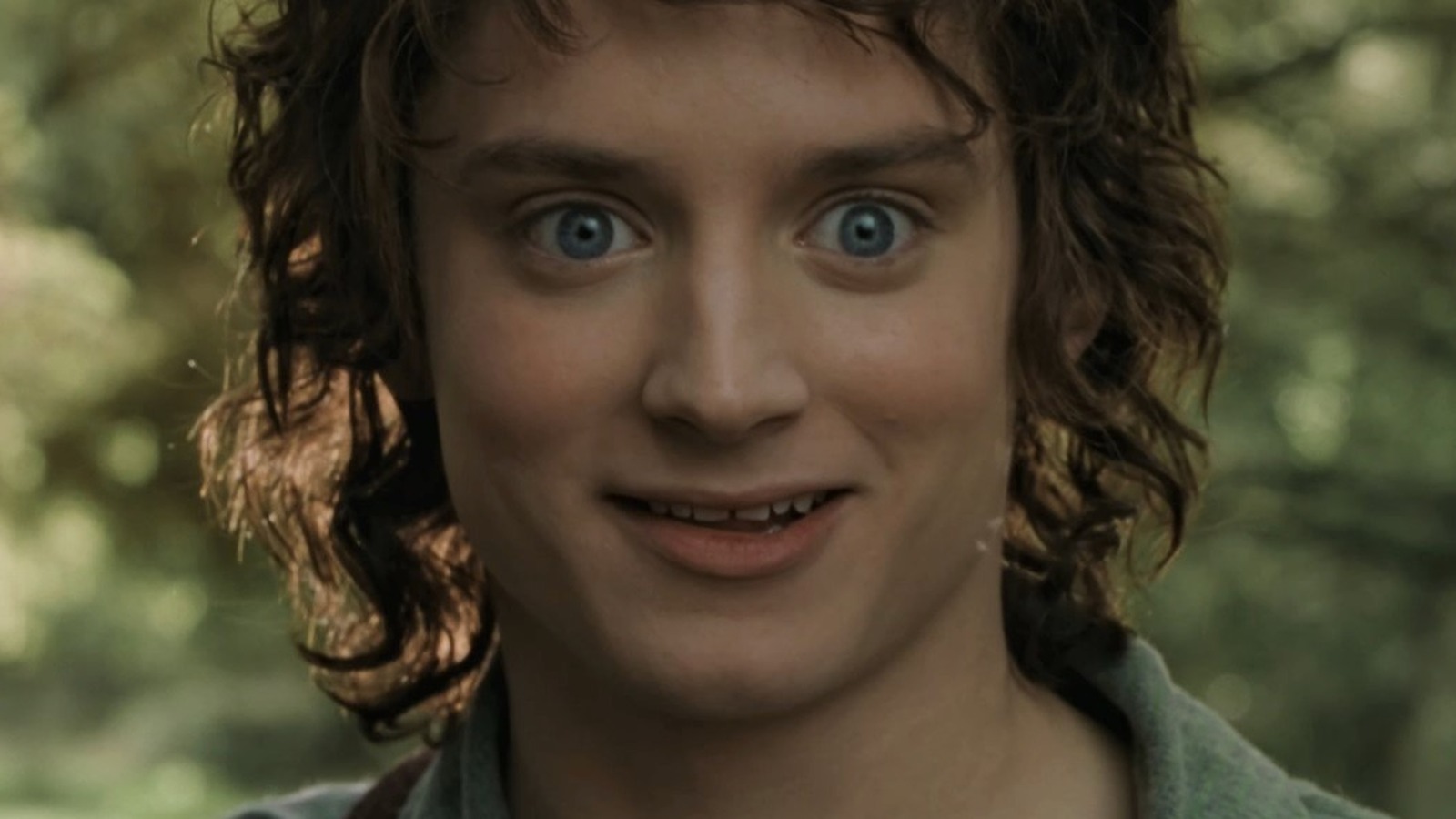 Frodo Baggins Lord Of The Rings
