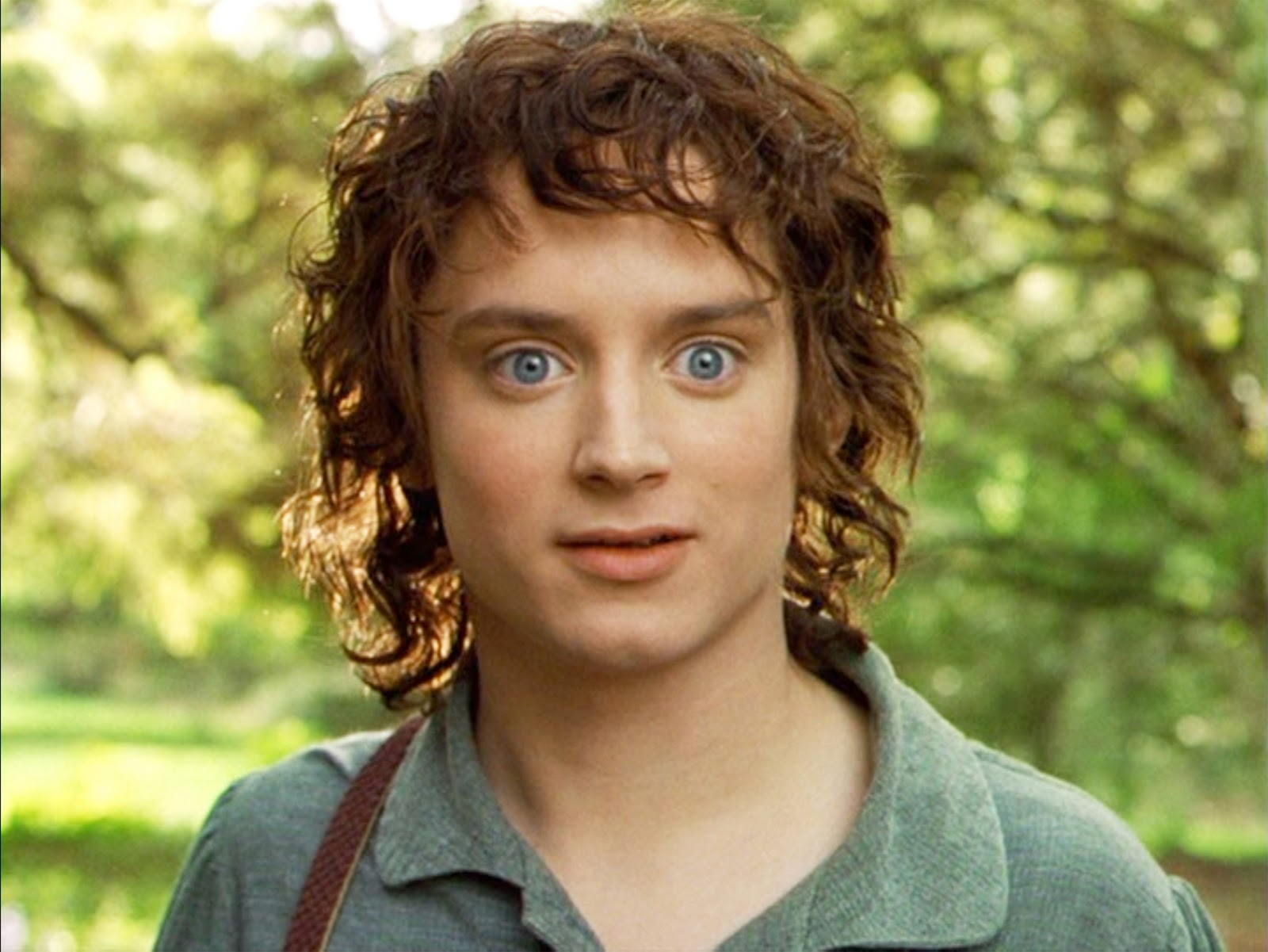 Frodo Baggins « Celebrity Gossip and Movie News - Frodo Baggins Lord Of The Rings