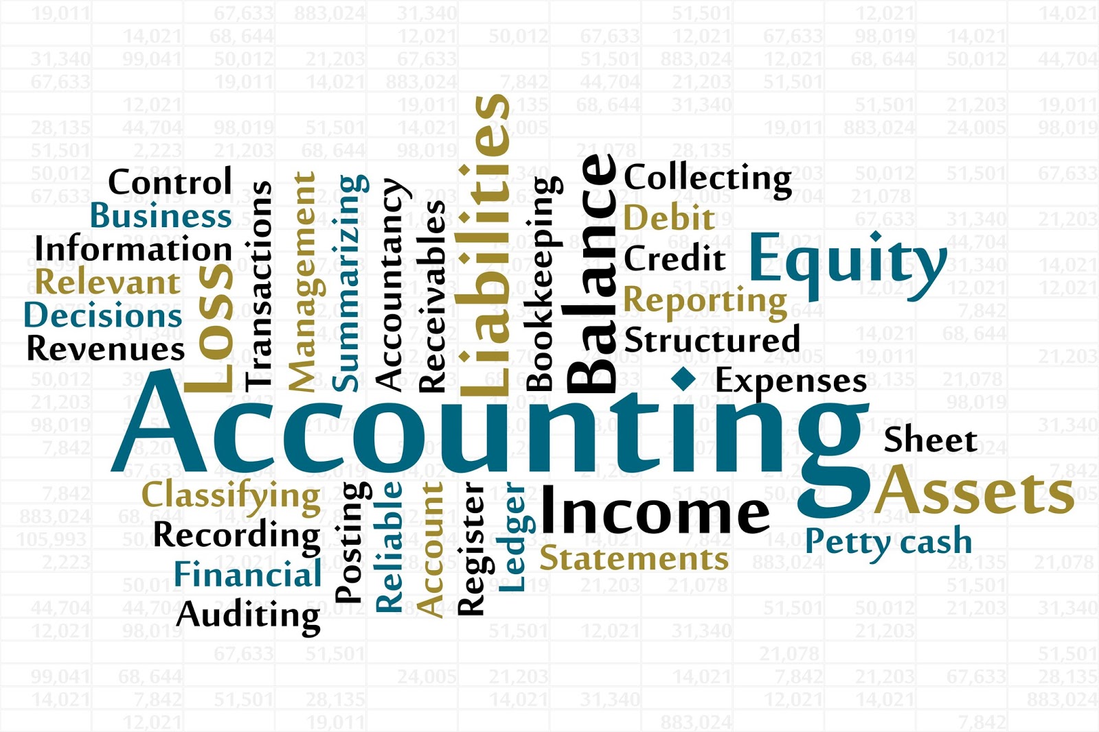 Functions of Accounting | Business Consi - Accounting And Financial Management Rsm