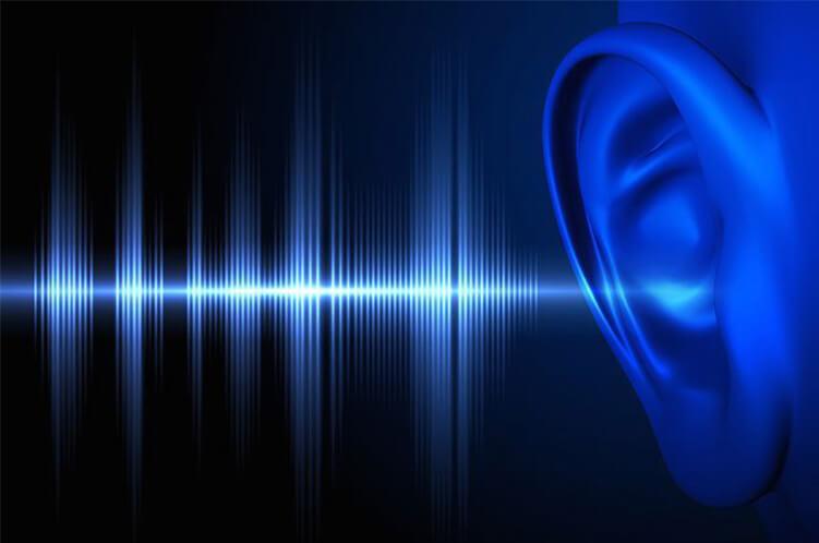 Fundamental characteristics of musical sound - Sound Of Silence' In Het Nederlands Gezongen