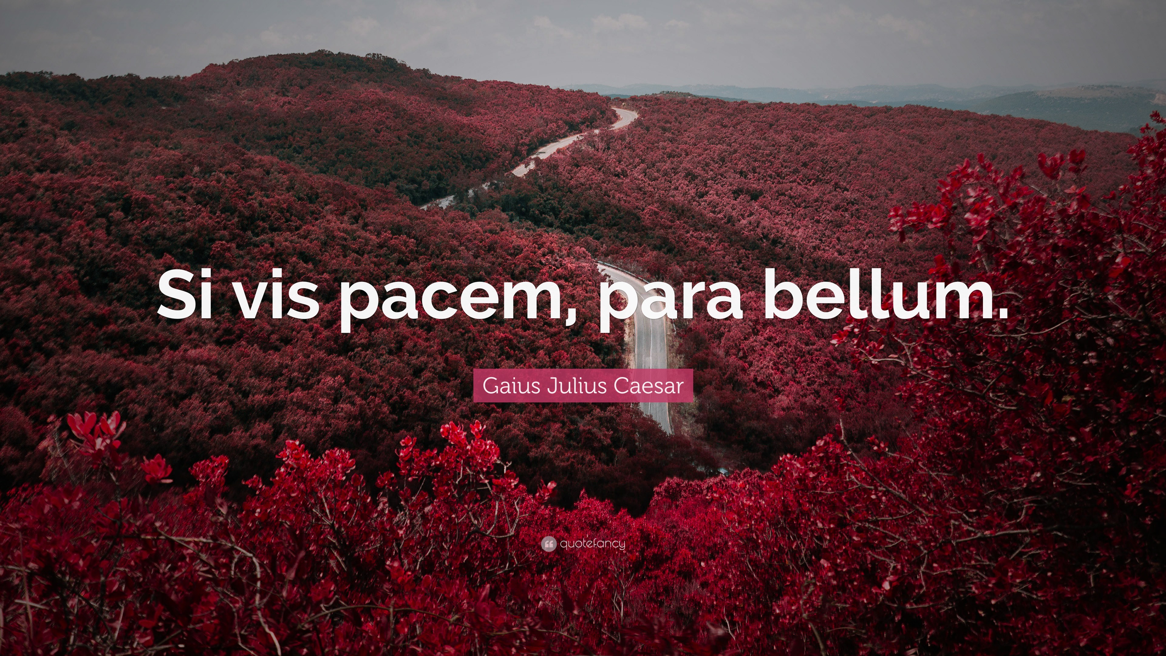 Gaius Julius Caesar Quote: “Si vis pacem, para bellum.” - Para Bellum Vis Pacem