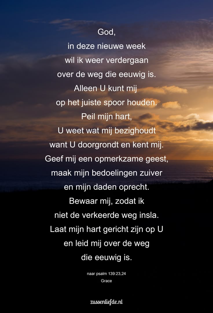 Begin Van Een Nieuw Organisme