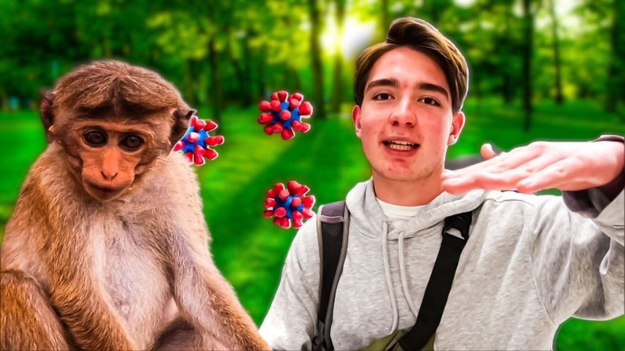 Gebeten Door Insect Rode Vlek
