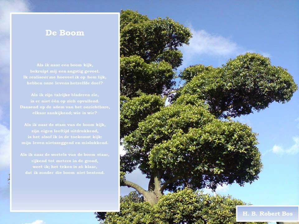 Gedicht: De boom - YouTube - Gedicht Boom Des Levens