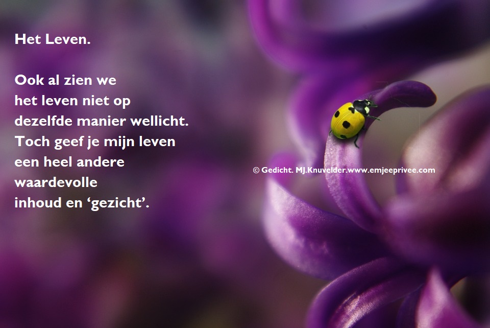 Gedicht. Het leven – EmJeePrivee - Gedicht Over Het Leven