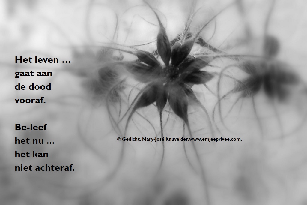 Gedicht Leven En Dood