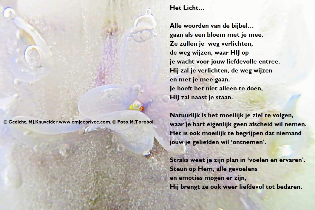 Gedicht Over Het Licht
