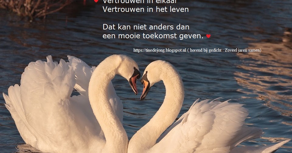 Gedichten en verhalen uit het leven : Zoveel jaren al samen - 8 Jaar Samen Betekenis