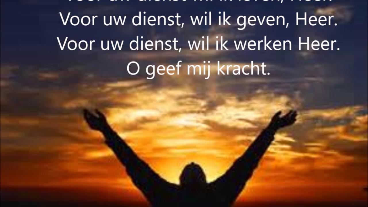 Boek Kracht Van Het Nu