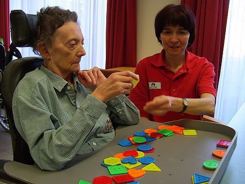 geheugenspelletjes Senior Games, Elderly Activities, Memory Care - Bewegingsactiviteiten Voor Ouderen Met Dementie