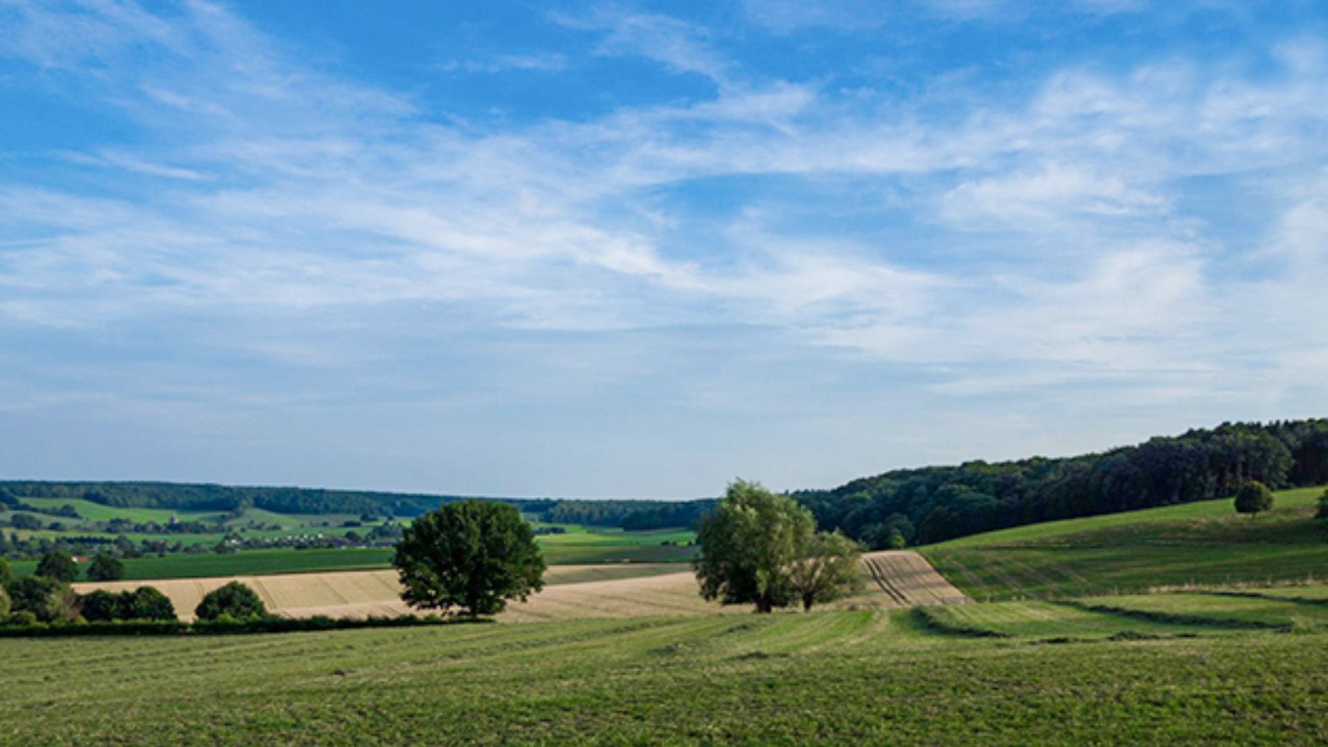 Gemeente Berg en Dal - Groendus - Gemeente Berg En Dal