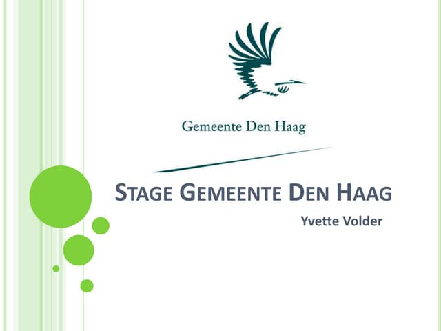 Gemeente Den Haag Stage