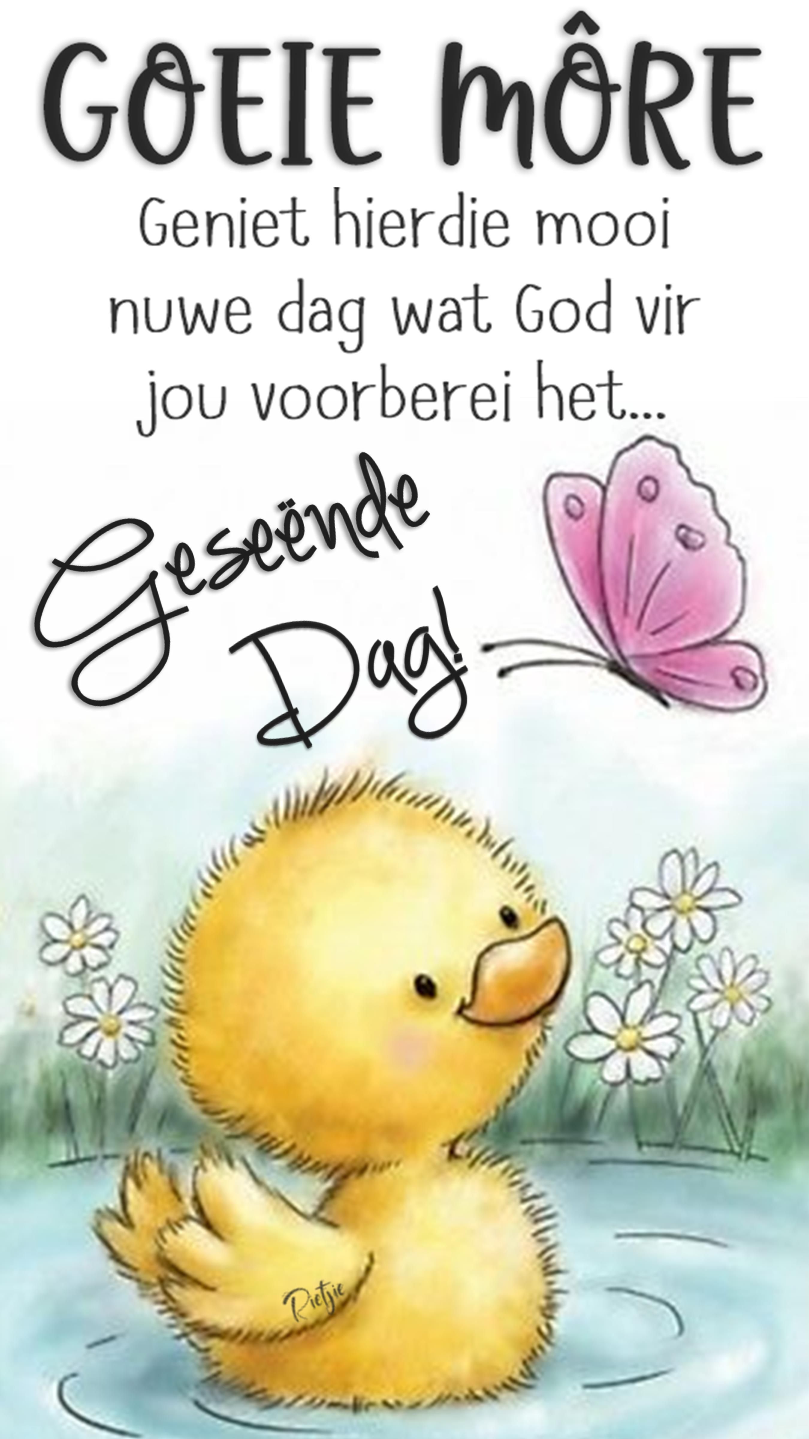 Wat Voor Dag Is Het Morgen