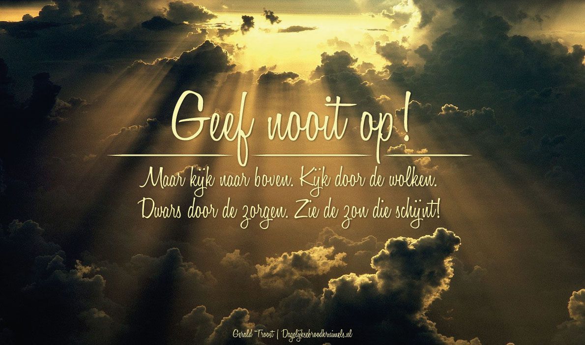 Gerald Troost – Goud - Liederen - DagelijkseBroodkruimels - Mooie Teksten Over Licht