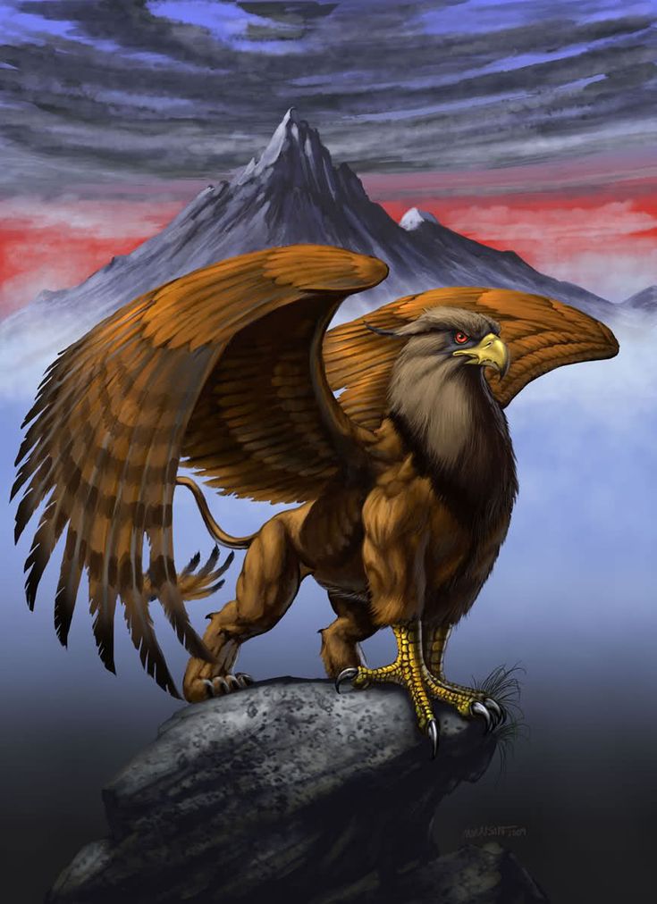 Gerelateerde afbeelding | Mythical creatures, Mythical creatures art - Mythische Vogel Die Uit Zijn Eigen As Herrijst