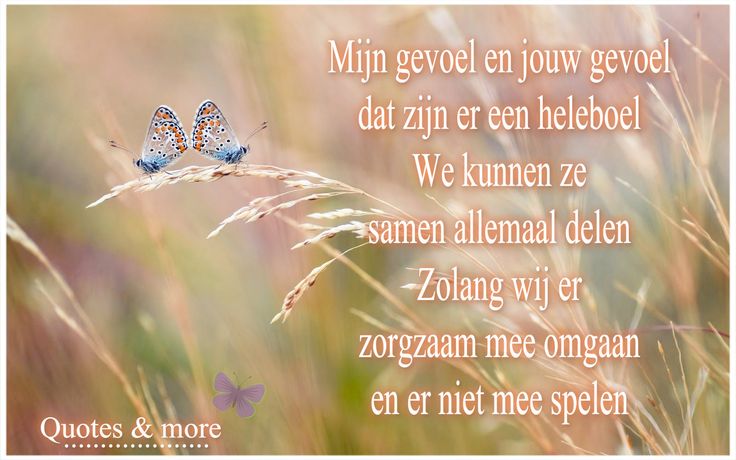 Afbeeldingen Met Tekst Over Gevoel