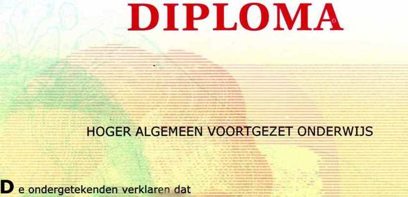 Gezakt Voor Vwo Toch Havo Diploma
