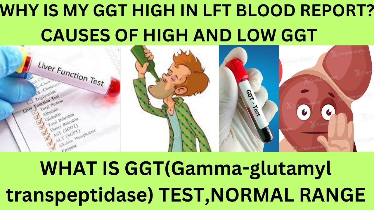 GGT BLOOD TEST IN HINDI.GGT NORMAL RANGE.CAUSES OF HIGH GGT IN LFT - Wat Is Ggt In Bloedonderzoek