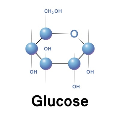 Glucose | Why Is Glucose Important And What Does It Do? - Glucose In Urine Bij Blaasontsteking