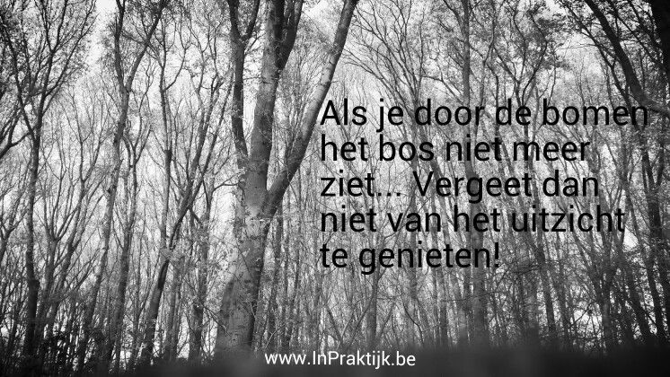 Door Haar Zien De Britten Het Bos Niet Meer
